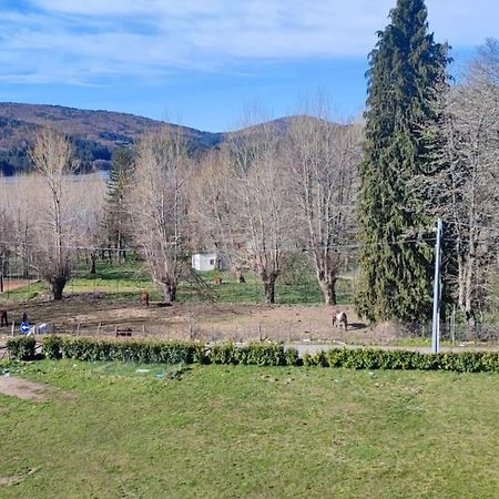 Loricalabria-Appartamento Lorica Le Macchie Eksteriør billede