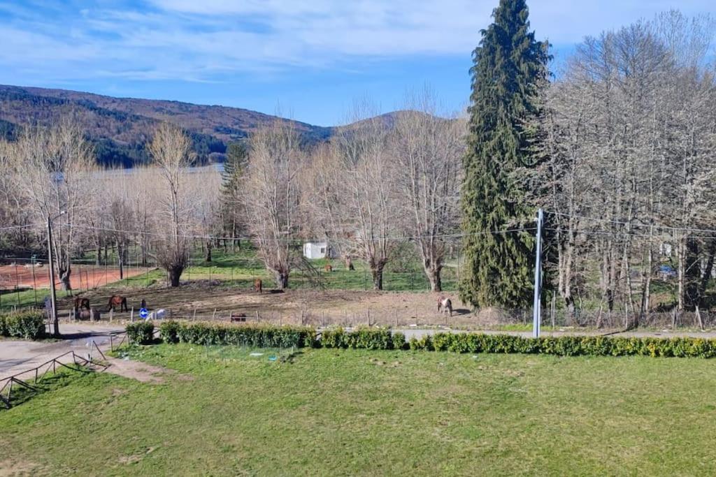 Loricalabria-Appartamento Lorica Le Macchie Eksteriør billede